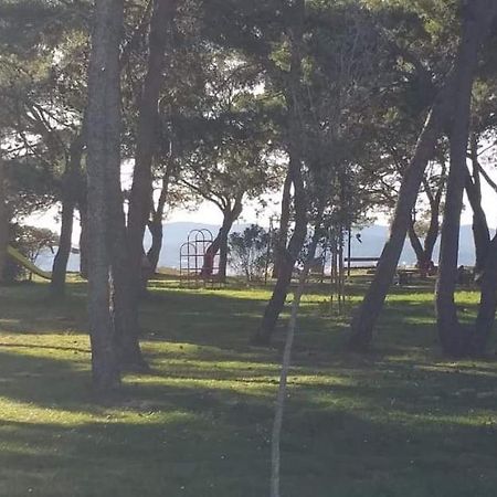 Ferienwohnung Apartman Petar Zadar Exterior foto